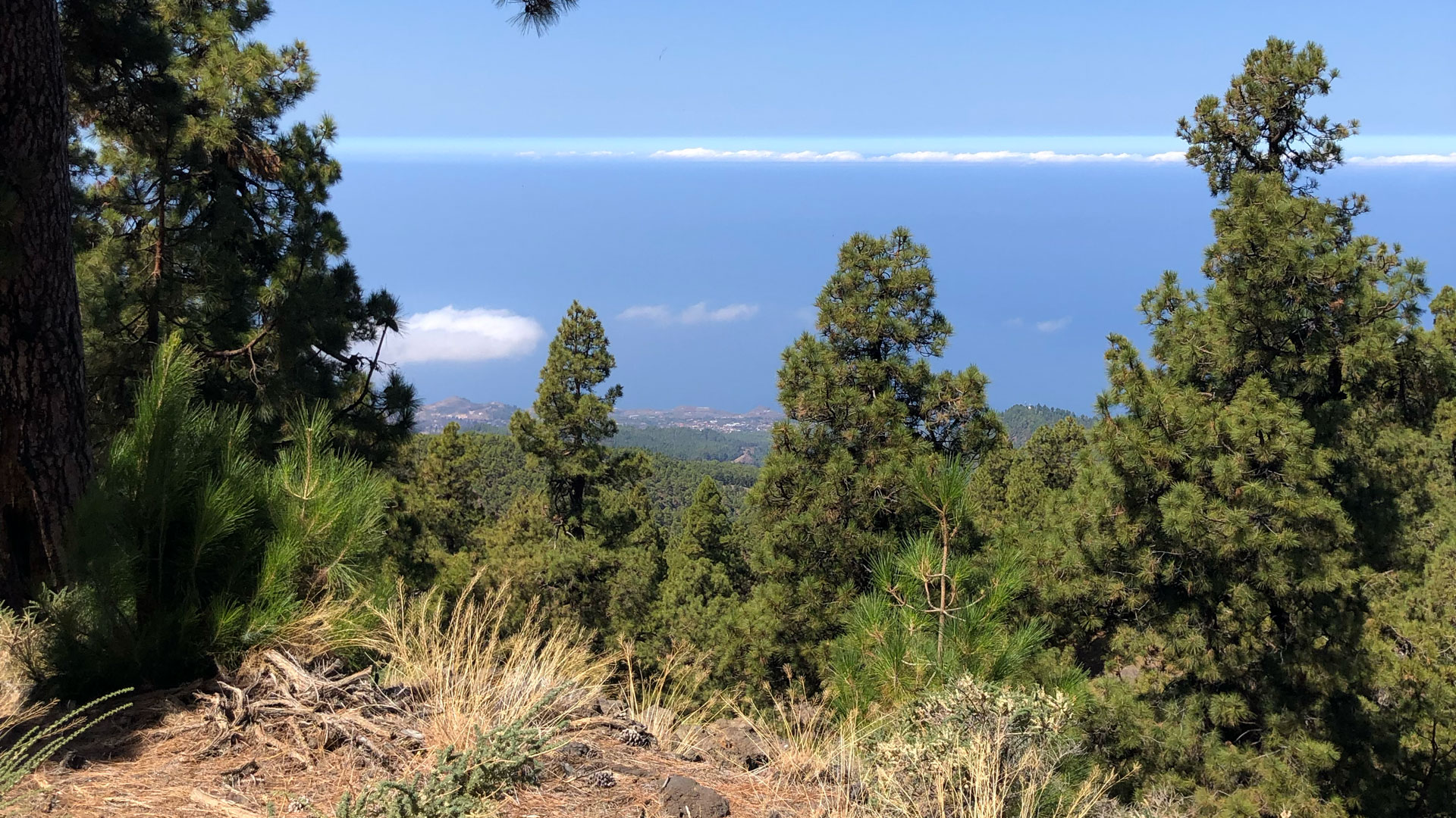 Blick über die Dächer von Tijarafe, Westseite La Palmas