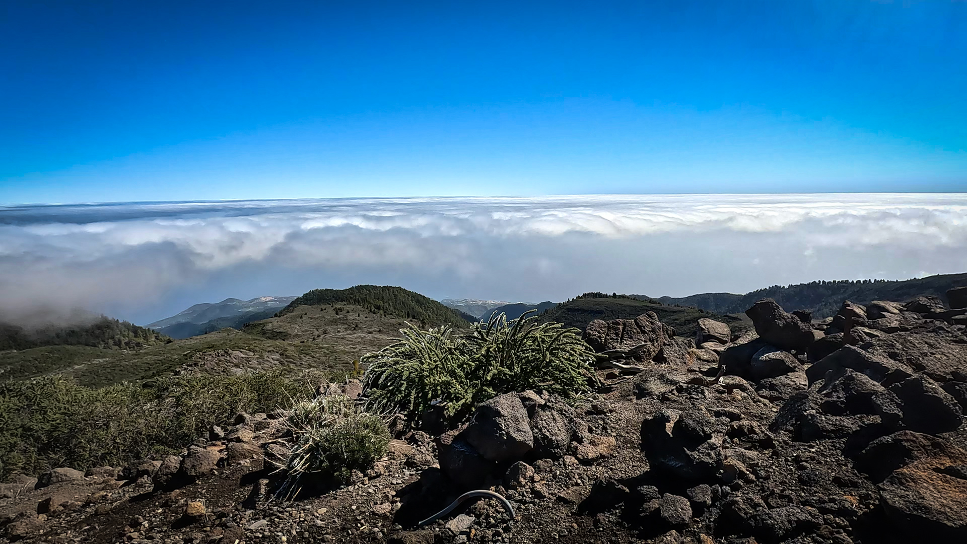 Blick vom Pico de la Cruz über das Wolkenmeer zur Ostküste La Palmas