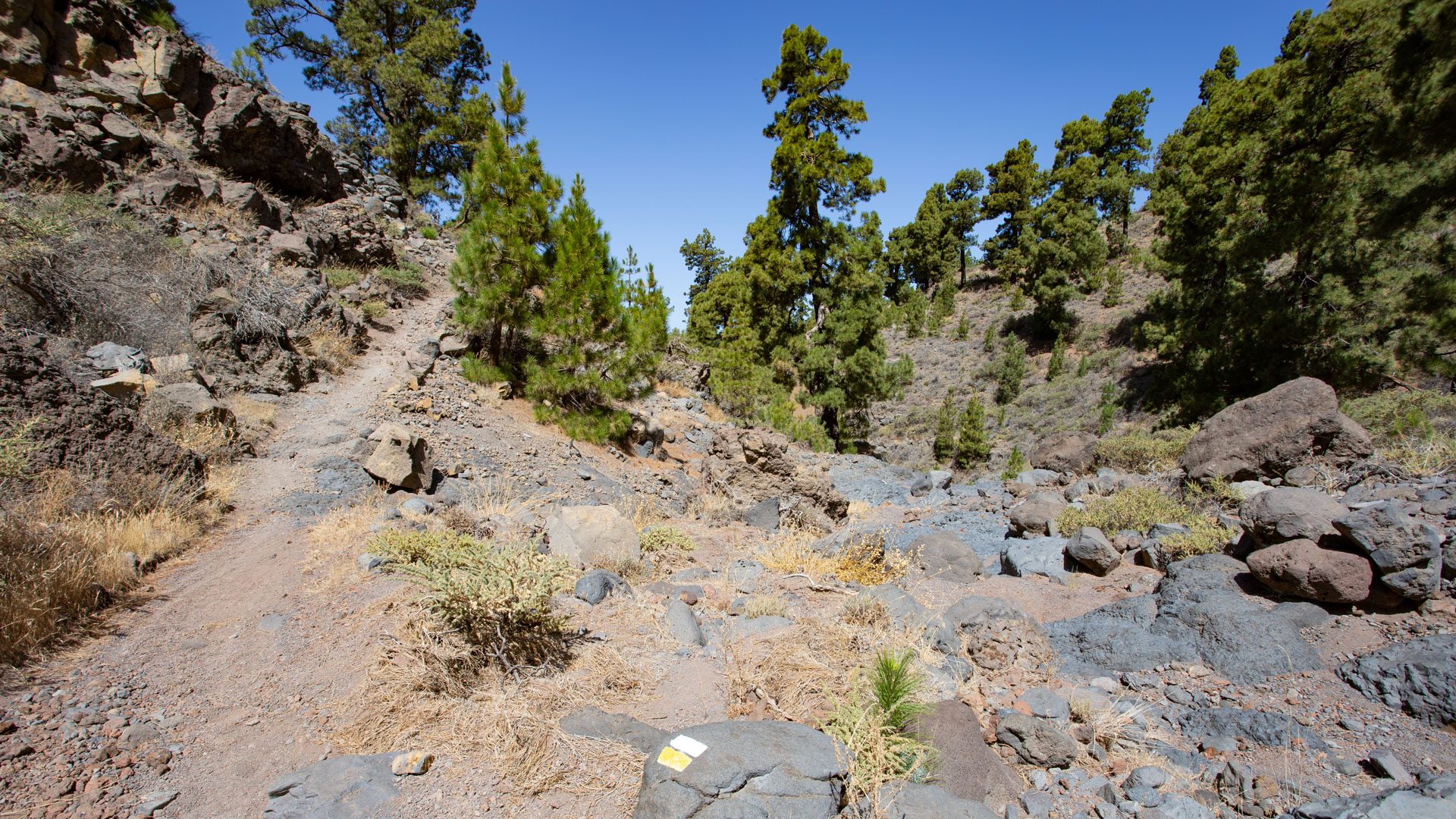 Der PR-LP 12 führt durch den hier noch flach verlaufenden Barranco de Izcagua.