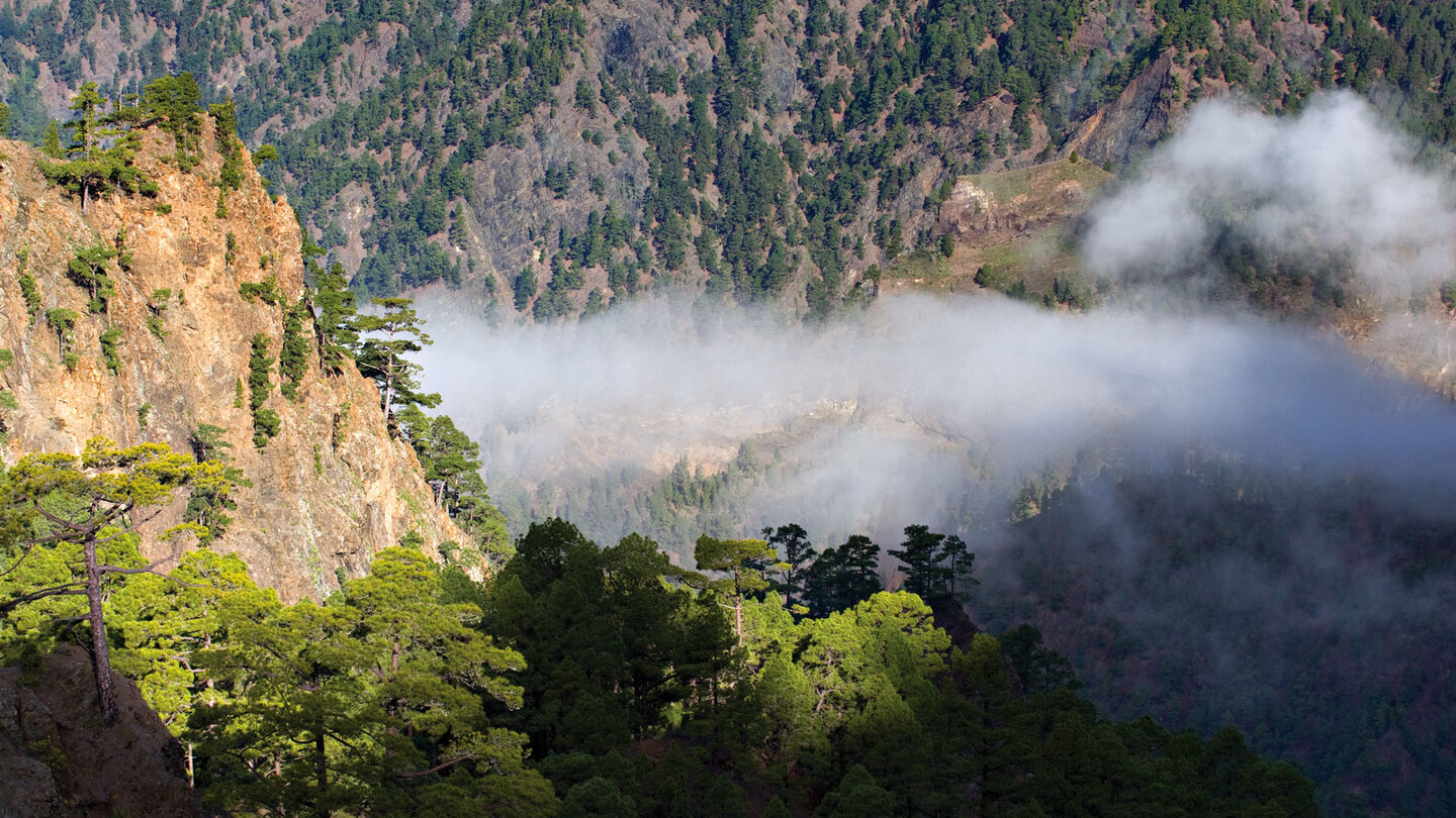 Ausblick vom Mirador de Los Roques in die Caldera de Taburiente auf La Palma