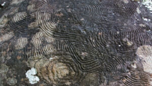 Felsritzungen der Benahoaritas: Petroglyphen der Ureinwohner La Palmas