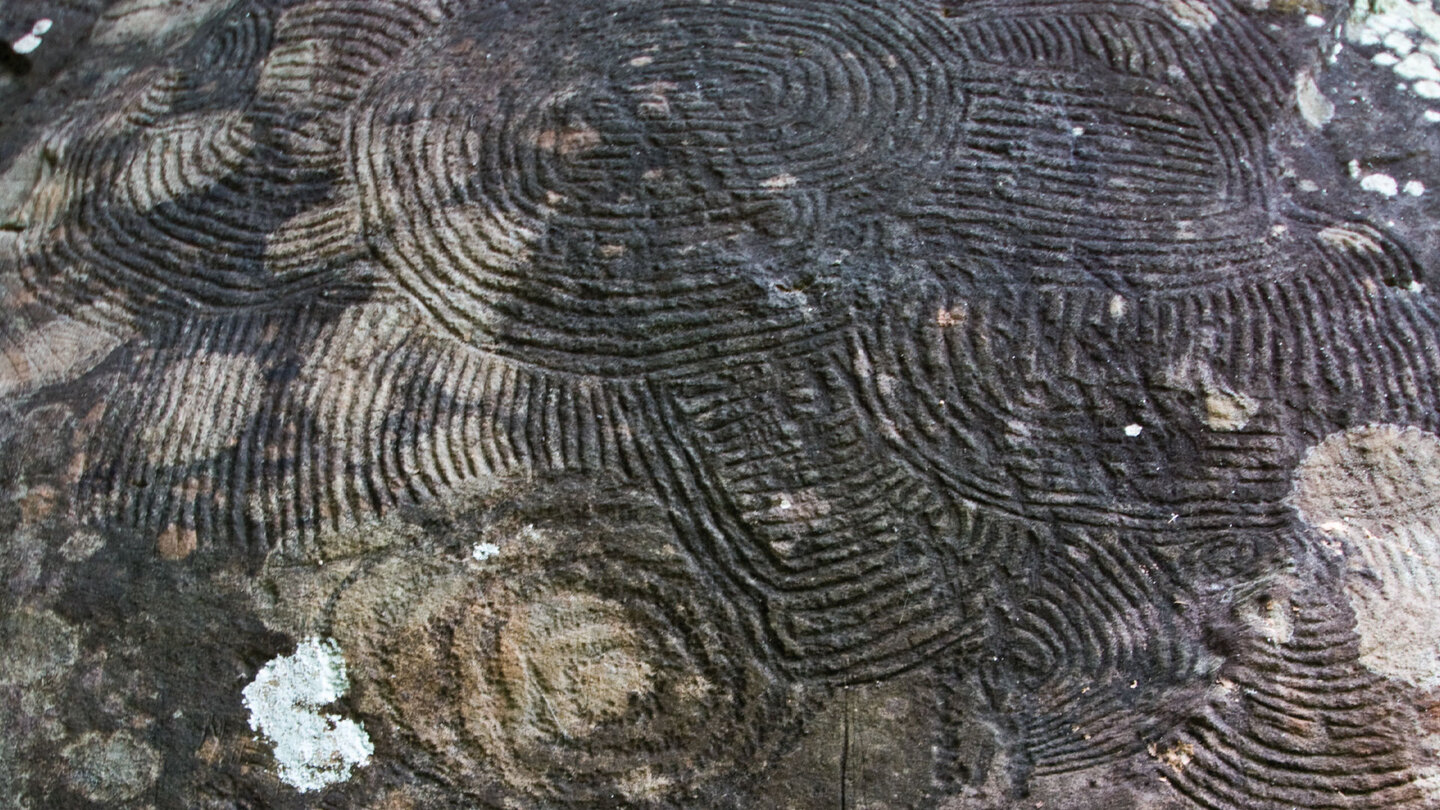 Petroglyphen der Benahoritas im Kulturpark La Zarza 