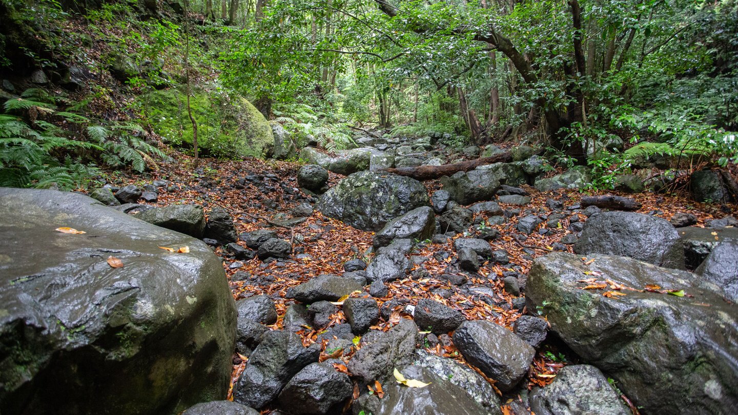 Wanderung im Talkessel Cubo de la Galga auf La Palma