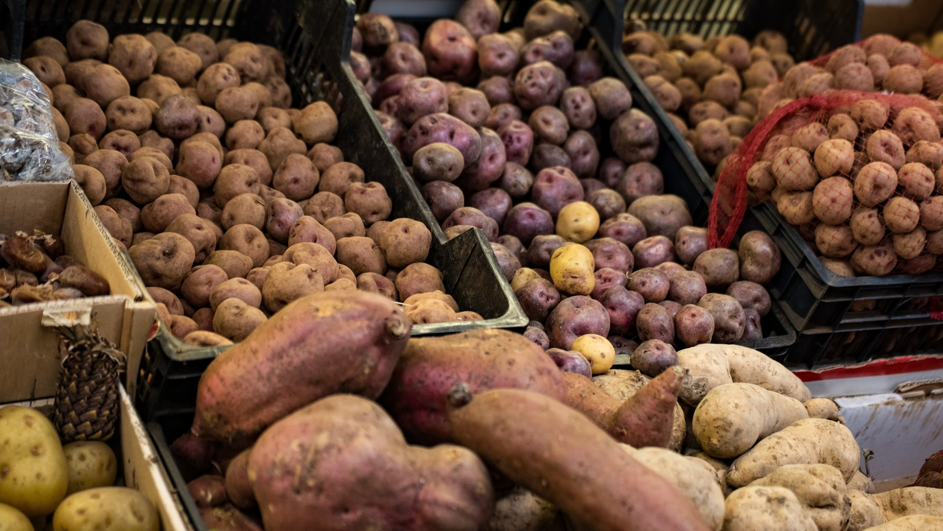 Frische Produkte vom Bauernmarkt – auf La Palma direkt vom Erzeuger