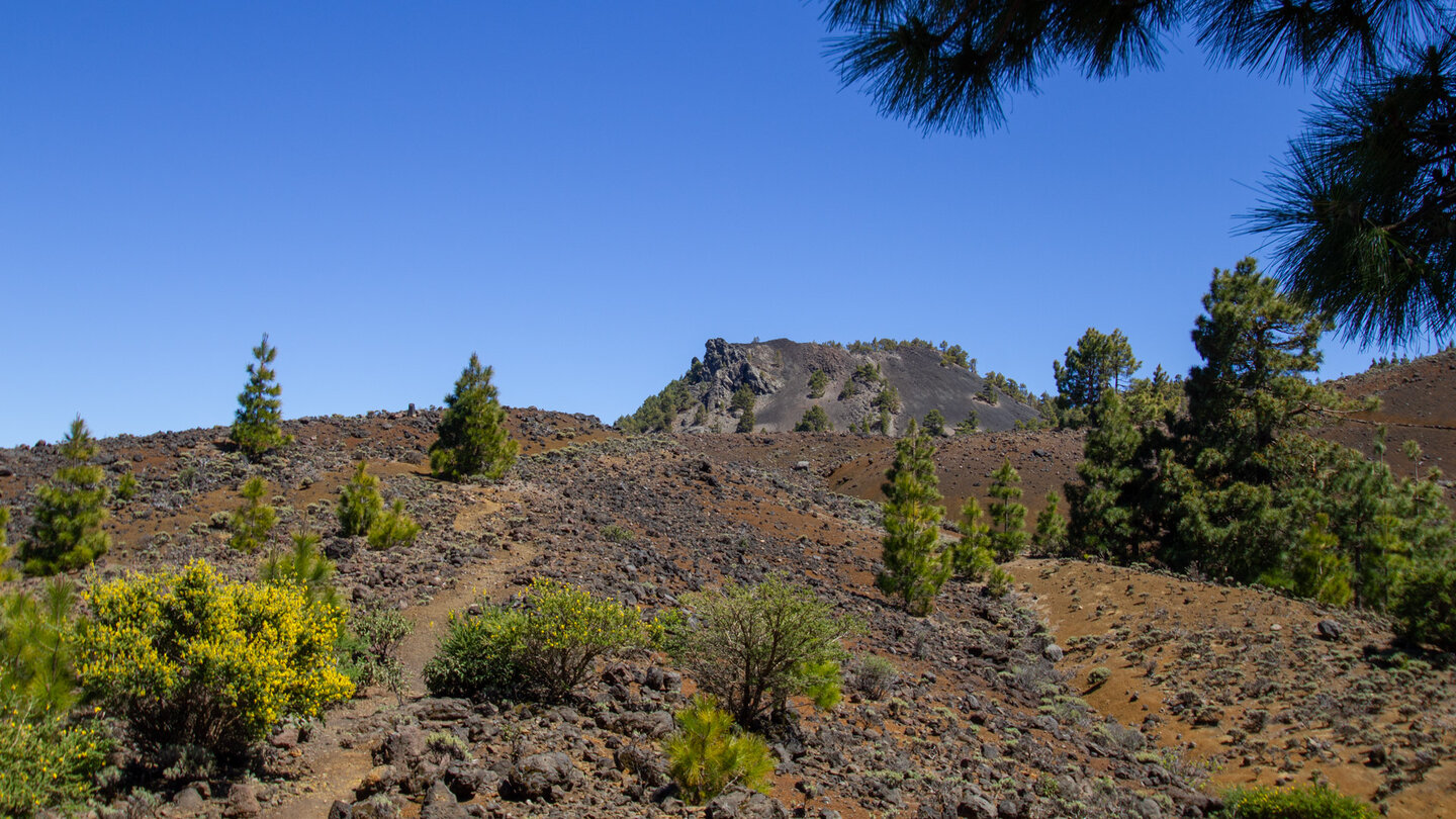 Blick über den Höhenrücken der Cumbre Vieja zum Pico Nambroque auf La Palma
