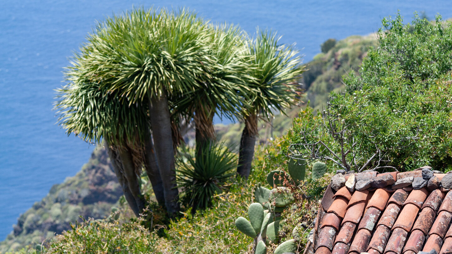 Küstenpanorama bei den Cuevas de Buracas auf La Palma