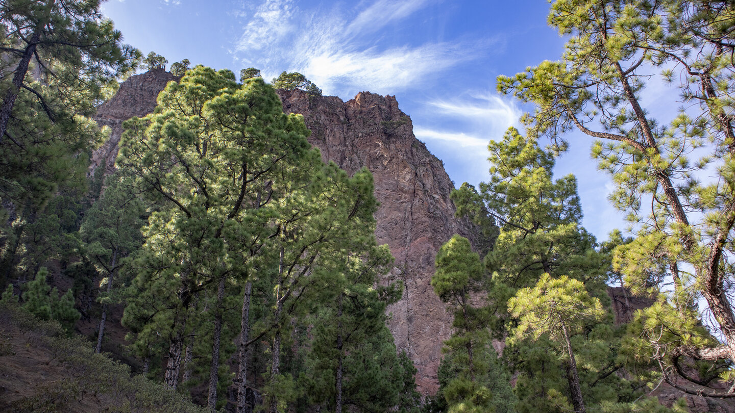 steil aufragende Felswand am Morro de los Gatos in der Caldera de Taburiente