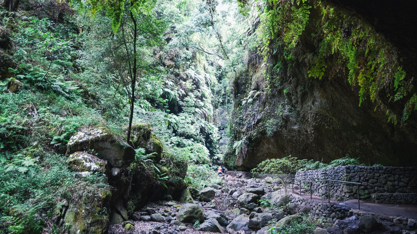 die Schlucht Barranco del Agua im Lorbeerwald von Los Tilos auf La Palma