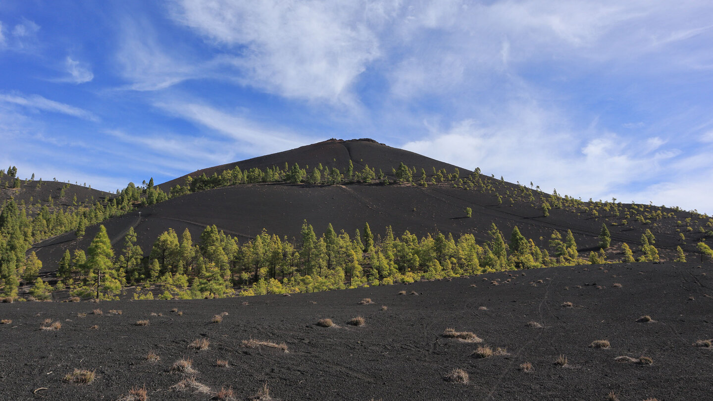 Ausblick auf den Volcán Martín von Süden