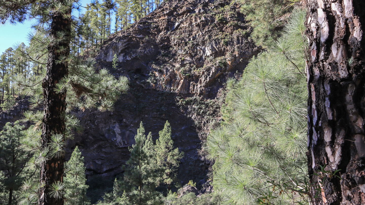 beeindruckende Steilwand in der Schlucht Barranco de Jieque auf La Palma