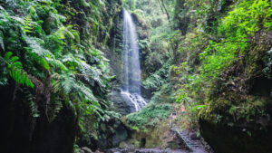 Wasserfall Cascada De Los Tilos im Lorbeerwald