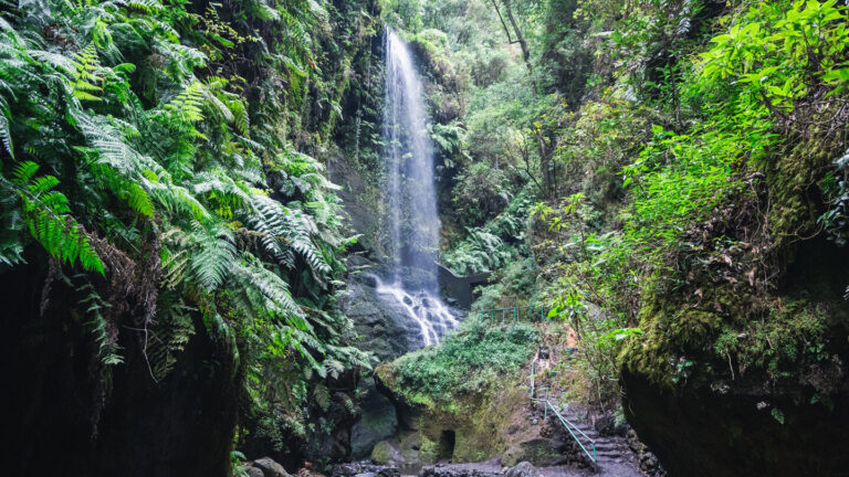 Wasserfall Cascada De Los Tilos im Lorbeerwald