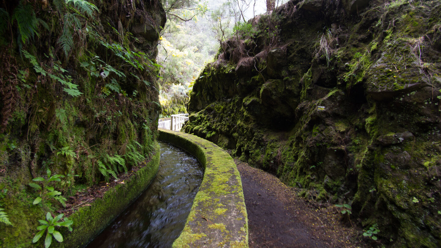 Wasserkanal im Biosphärenreservat Los Tilos auf La Palma