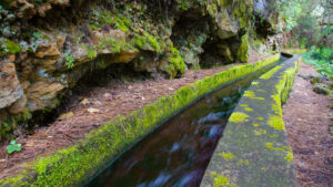 Acequias im Lorbeerwald Los Tilos – jahrhundertealte Bewässerungskanäle La Palmas.