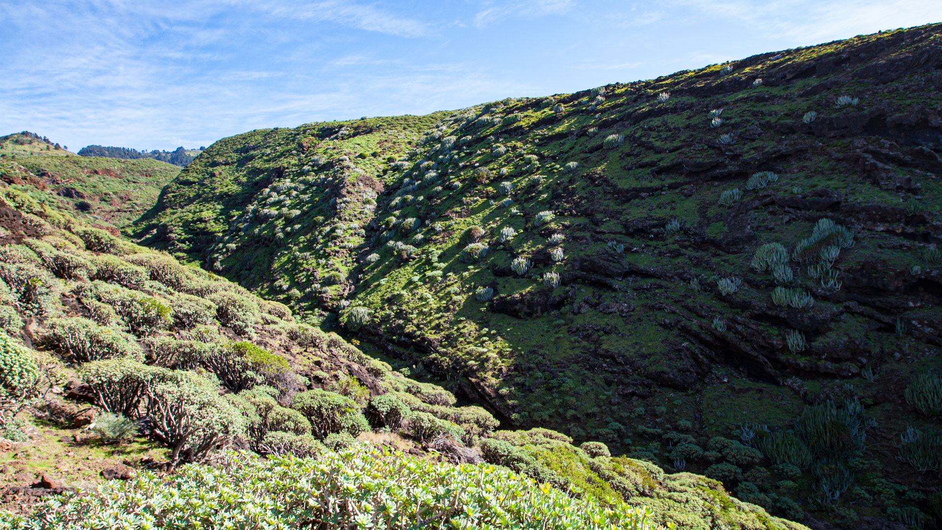 Der Barranco de Fernando schneidet sich tief durch die Steilküste bei Garafía