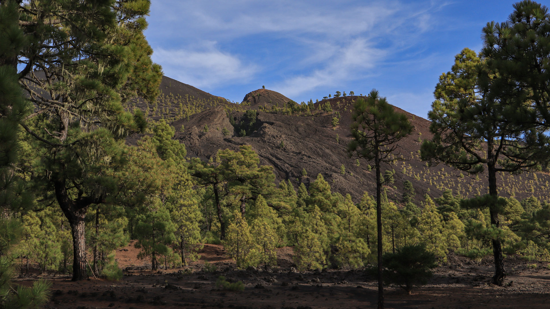 Blick vom Fernwanderweg GR-131 auf die Lavafelder des Volcán Martín –
