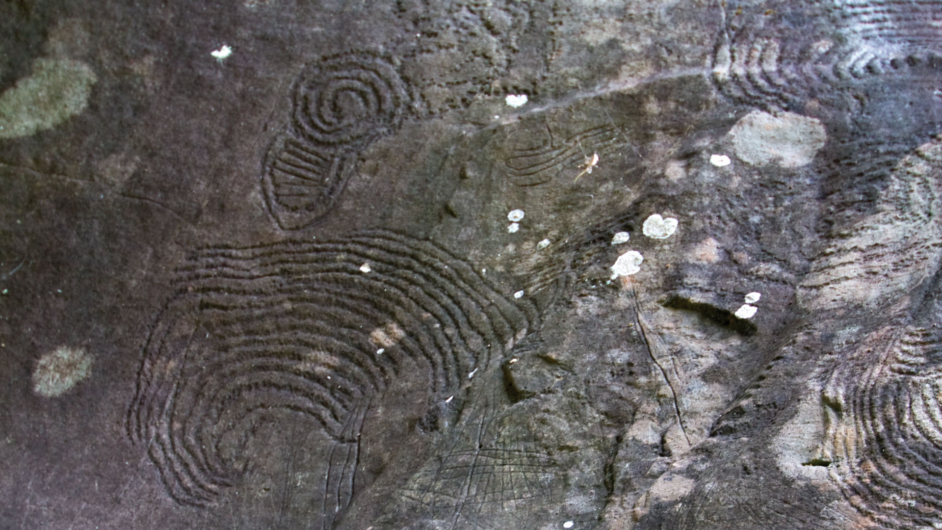 La Zarza y La Zarcita – geheimnisvolle Petroglyphen der Ureinwohner im Norden La Palmas