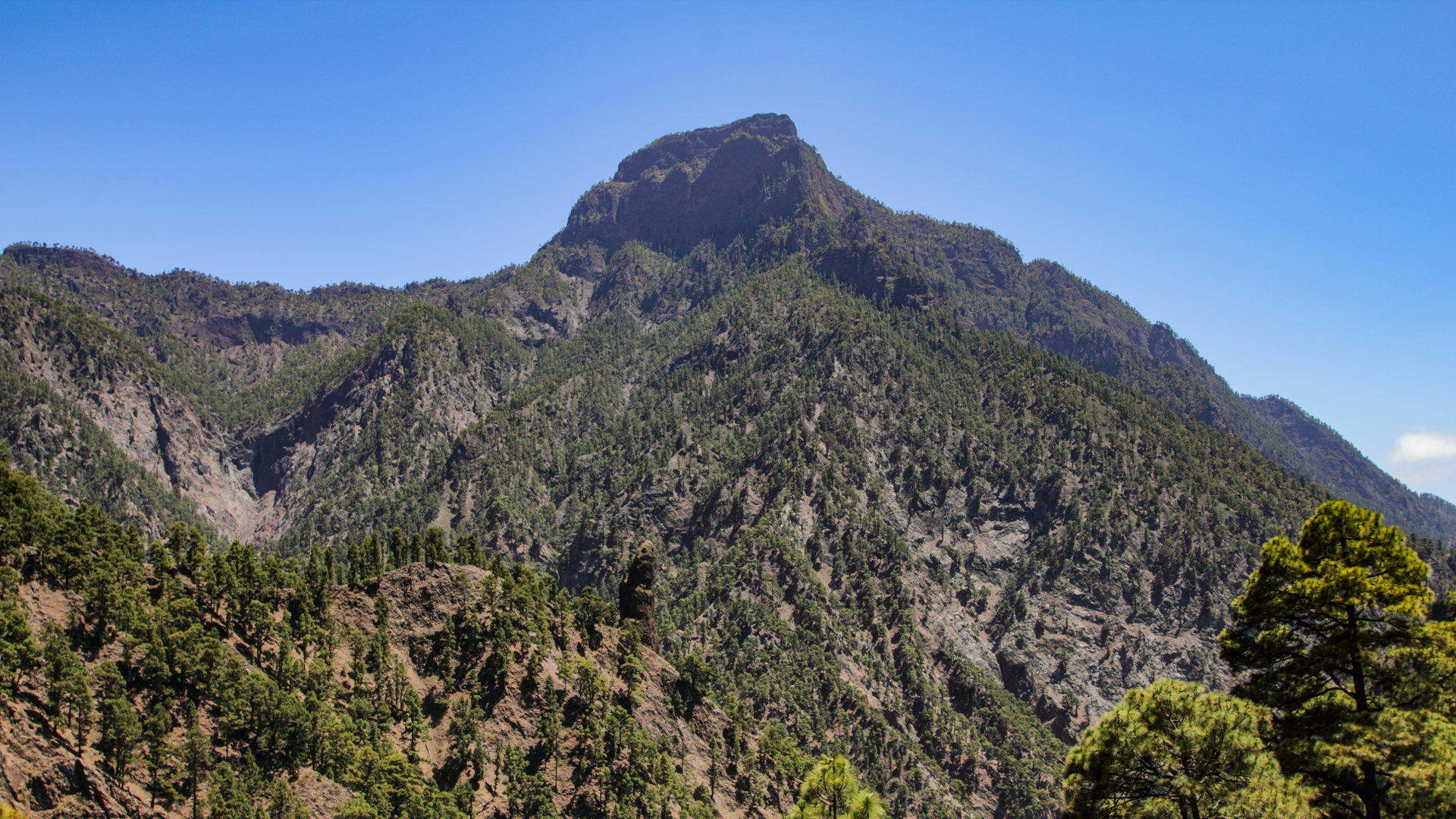 Der Pico Bejenado (1.854 m) erhebt sich als Einzelgipfel über dem Südrand der Caldera de Taburiente