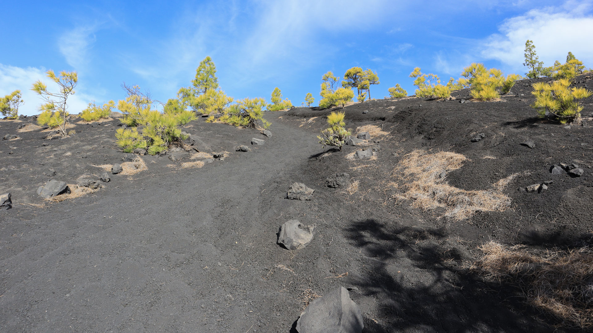 Jeder Schritt versinkt ein wenig – der Aufstieg durch das schwarze Lapilli zum Volcán Martín