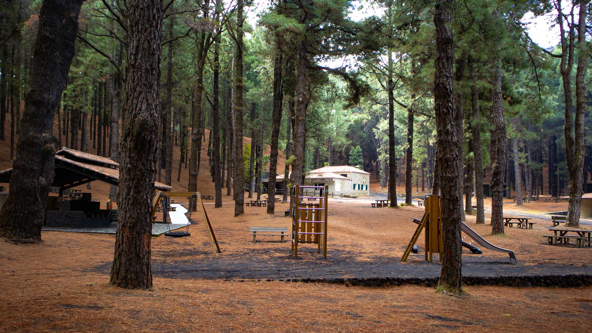 Área Recreativa El Pilar — Campingplatz im Kiefernwald der Cumbre Vieja