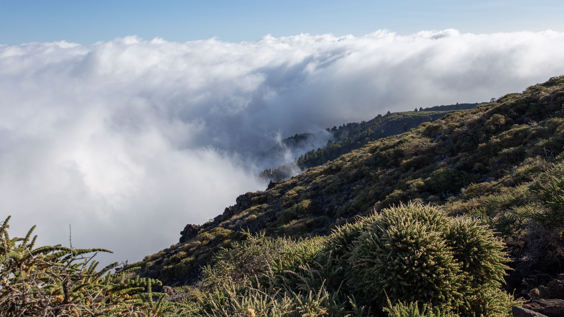 Aufsteigende Wolken im Osten La Palmas