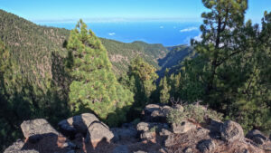 Ausblick über den Barranco de Gallegos zur Küste.