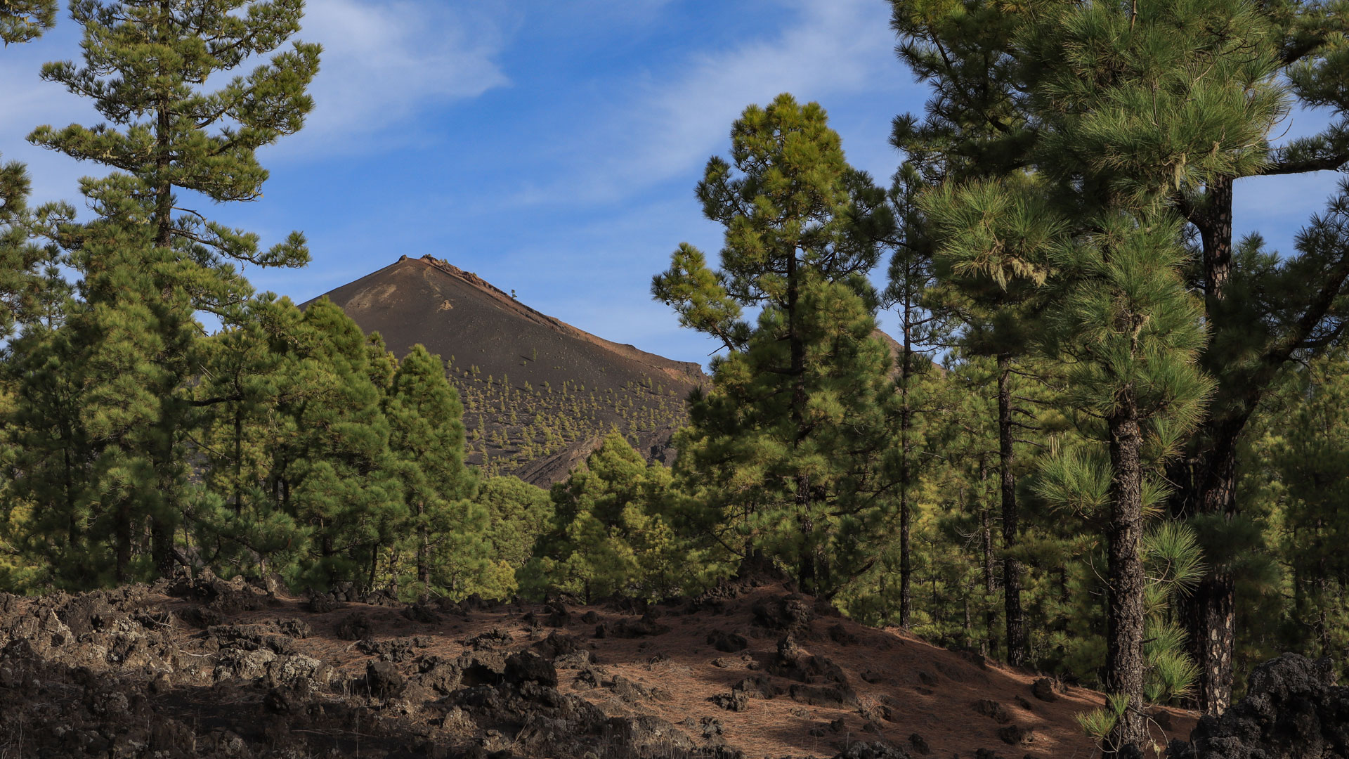 Wanderung von Fuencaliente zum Volcán Martín