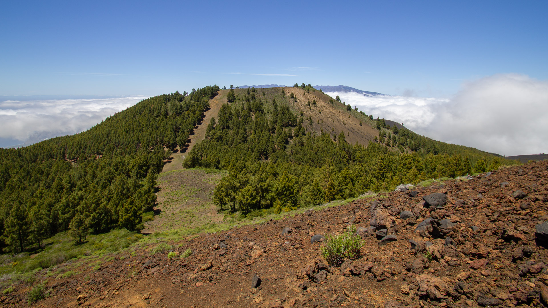 Ausblick von der Montaña auf die Vulkankegel Pelada und Barquita.