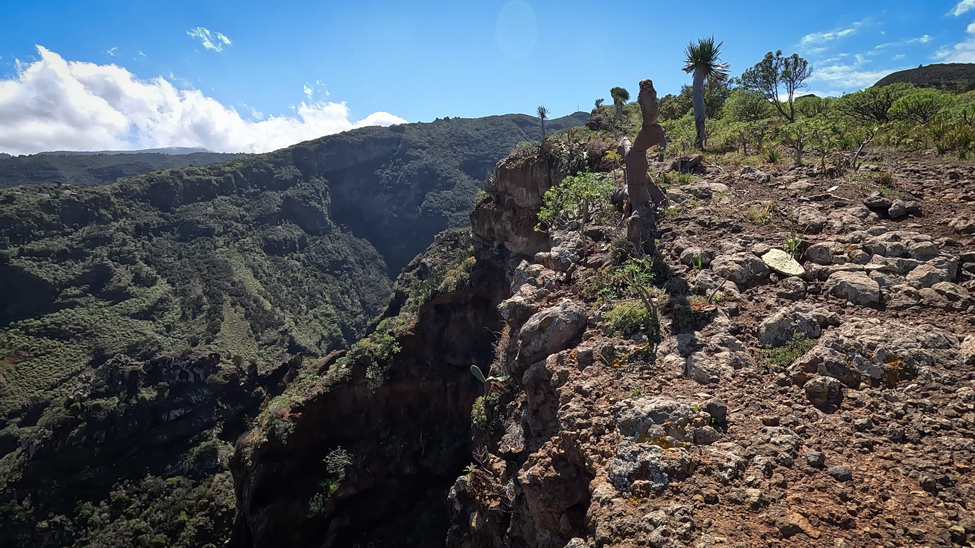 Blick vom Mirador La Calzada über die Schluchtenlandschaft des Nordwestens La Palmas 