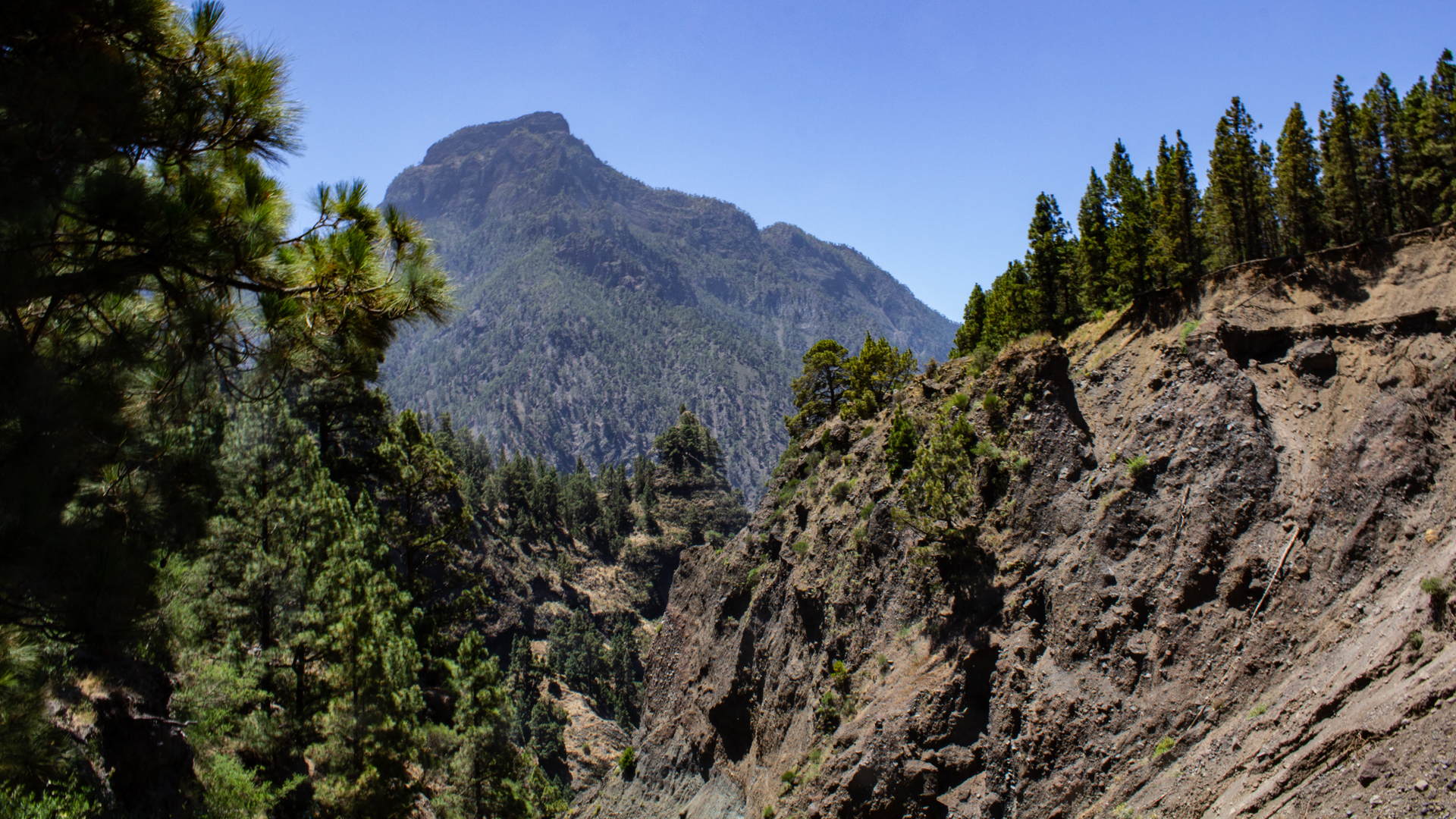 Blick aus dem Barranco Bombas de Agua auf den Pico Bejenado