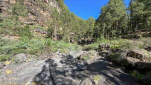 Barranco de Jieque – Felswand über dem trockenen Bachbett.