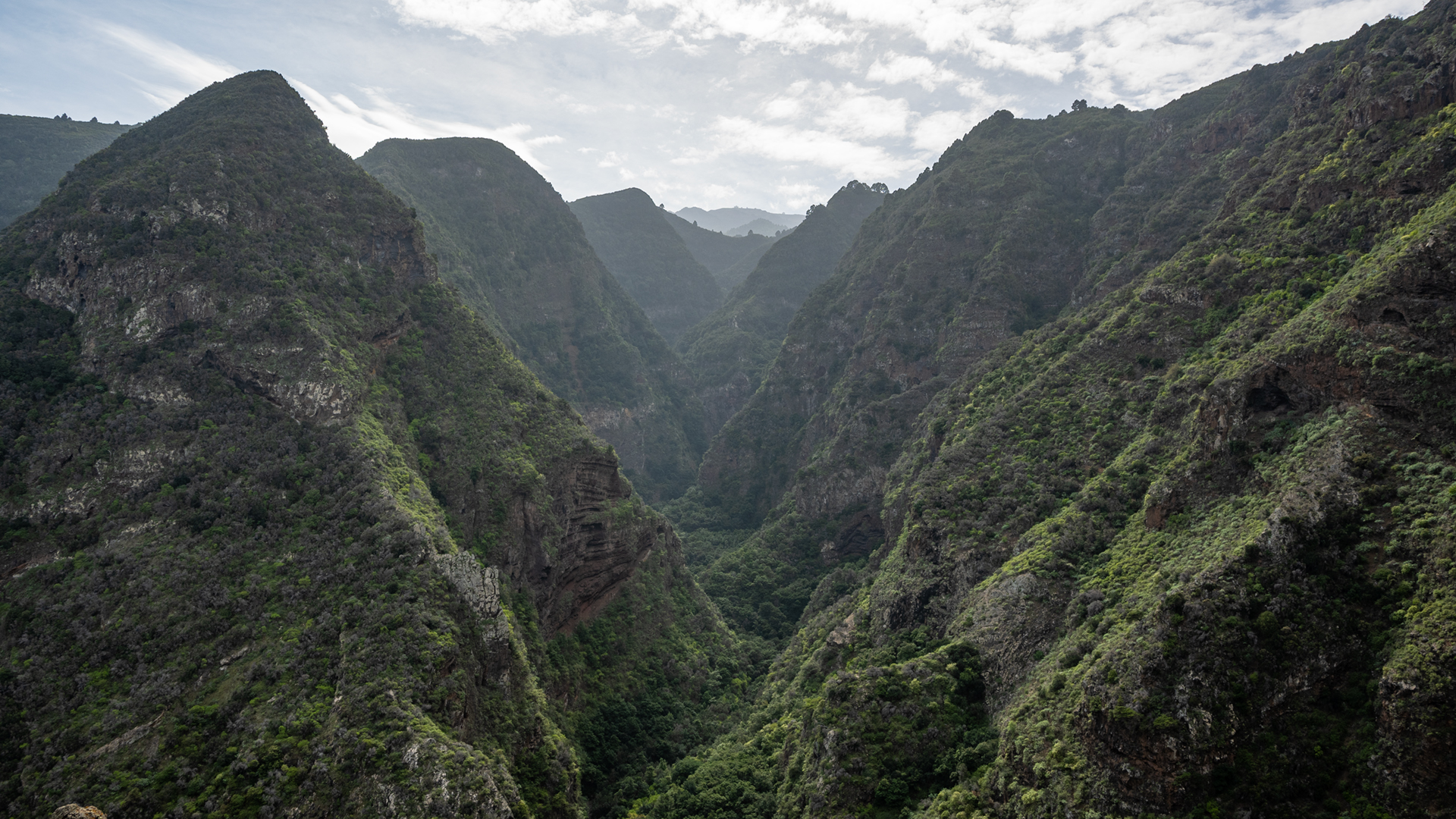 Blick in die Tiefe des Barranco de los Hombres im Nordwesten La Palmas
