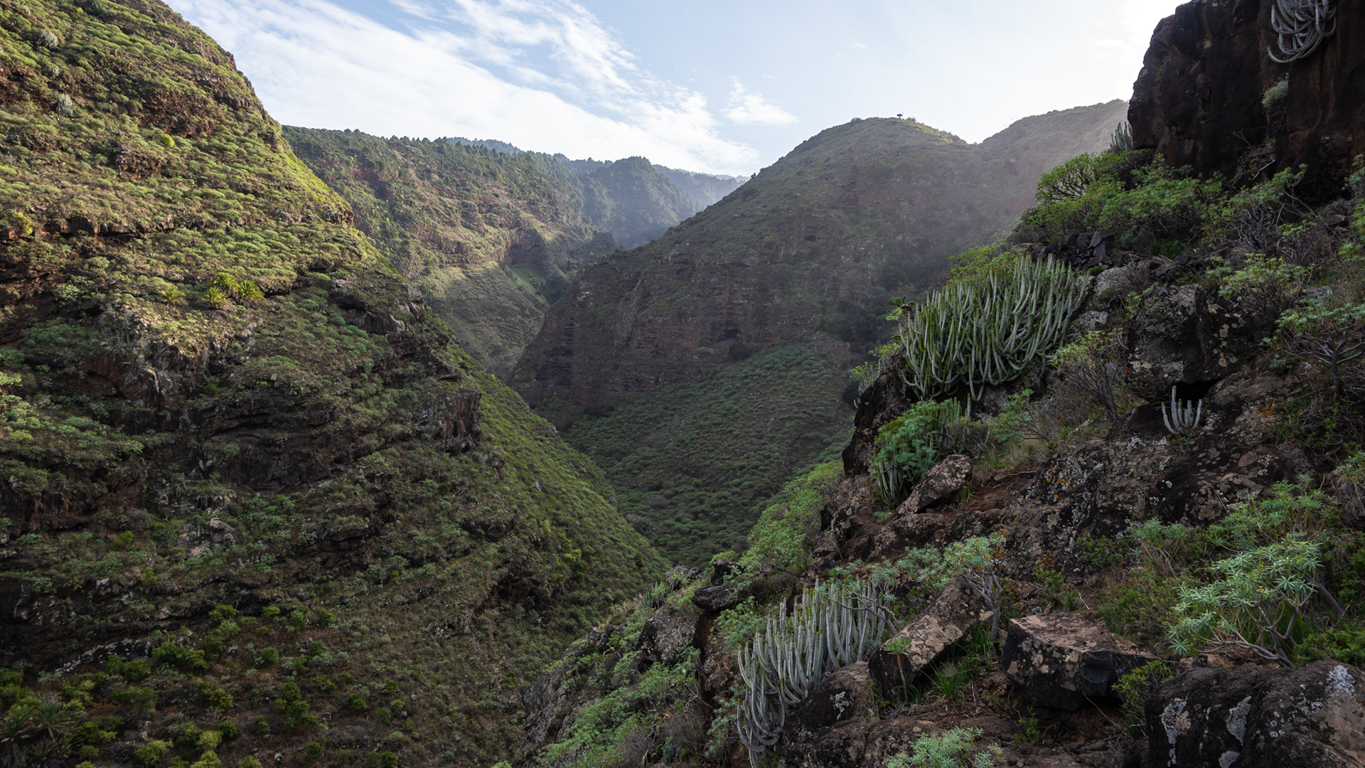 Wanderweg durch den Barranco Franceses im Nordwesten La Palmas