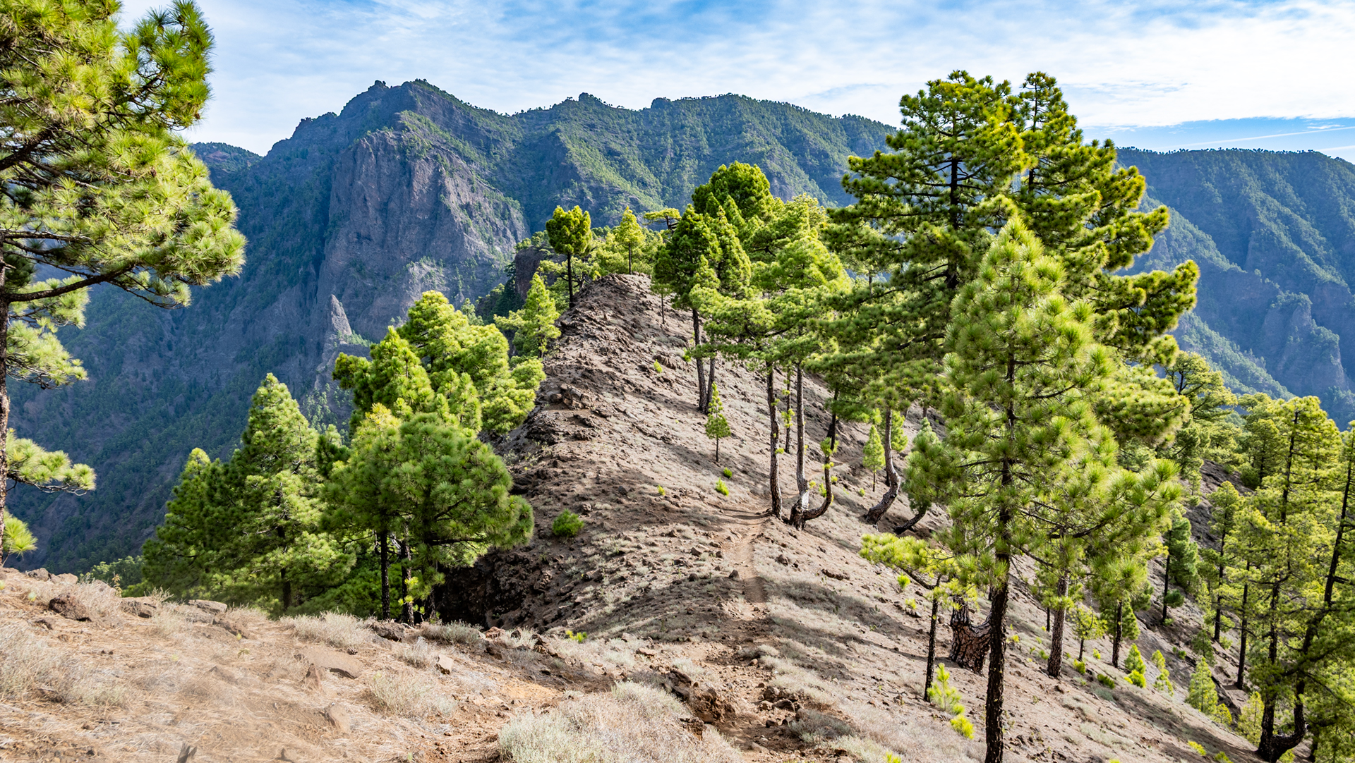 Kammweg zum Roque de los Cuervos.