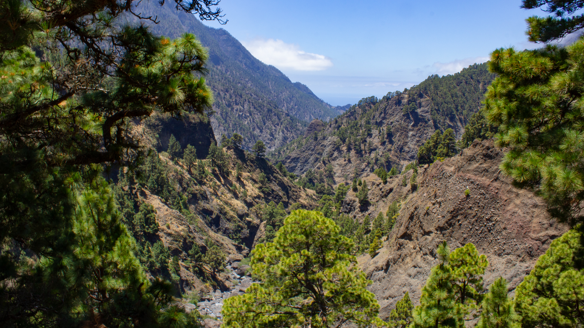 Wanderung Caldera de Taburiente – Schluchten, Bachquerungen, Lavafels.