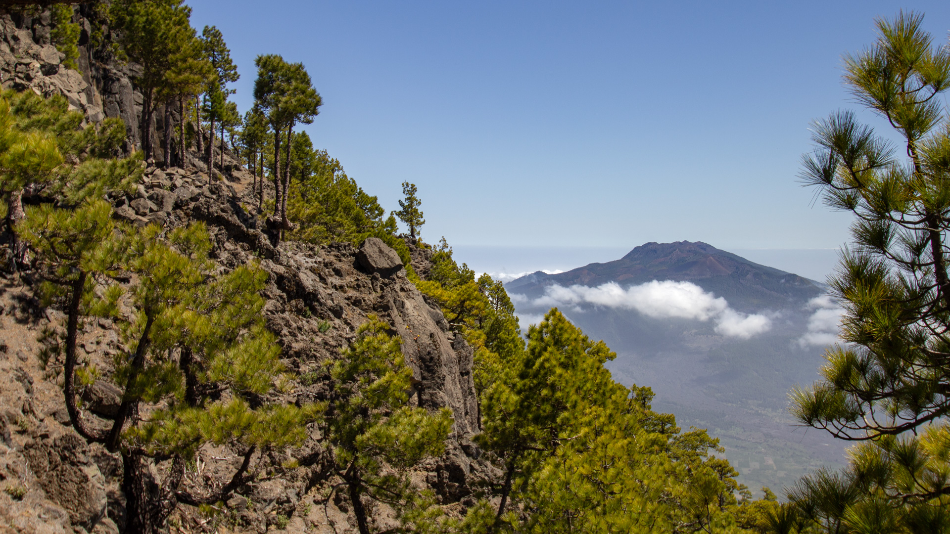 Blick auf die Vulkane der Cumbre Vieja.