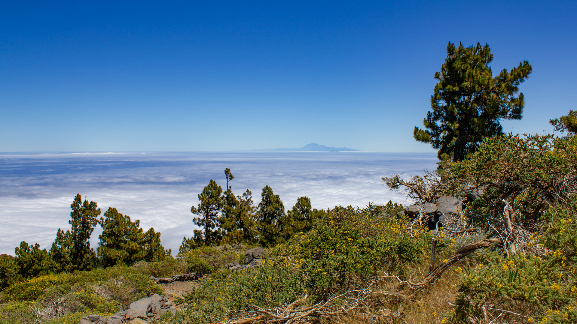 Blick vom Wanderweg am Pico de la Nieve auf Teneriffa und den Teide