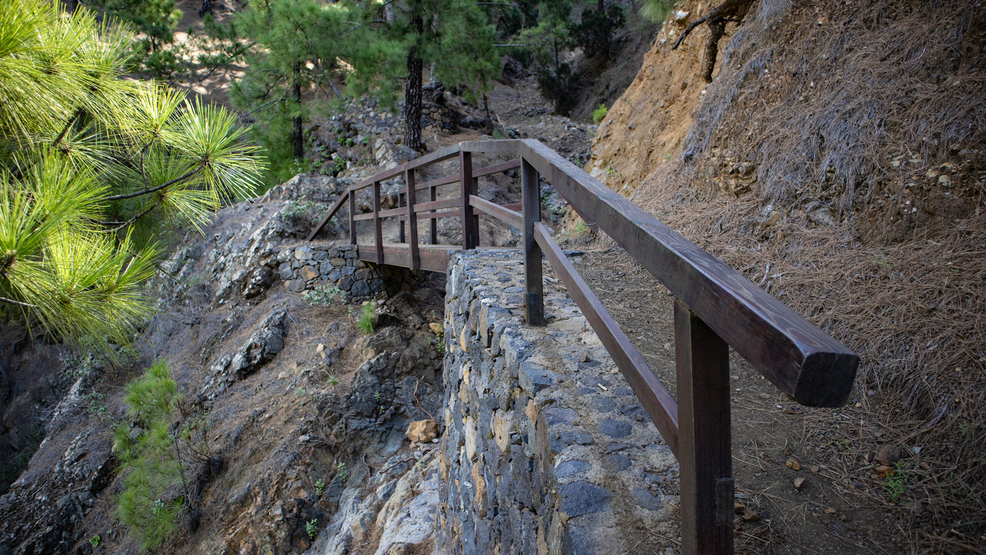 Wanderweg durch den Barranco de Huanauao 