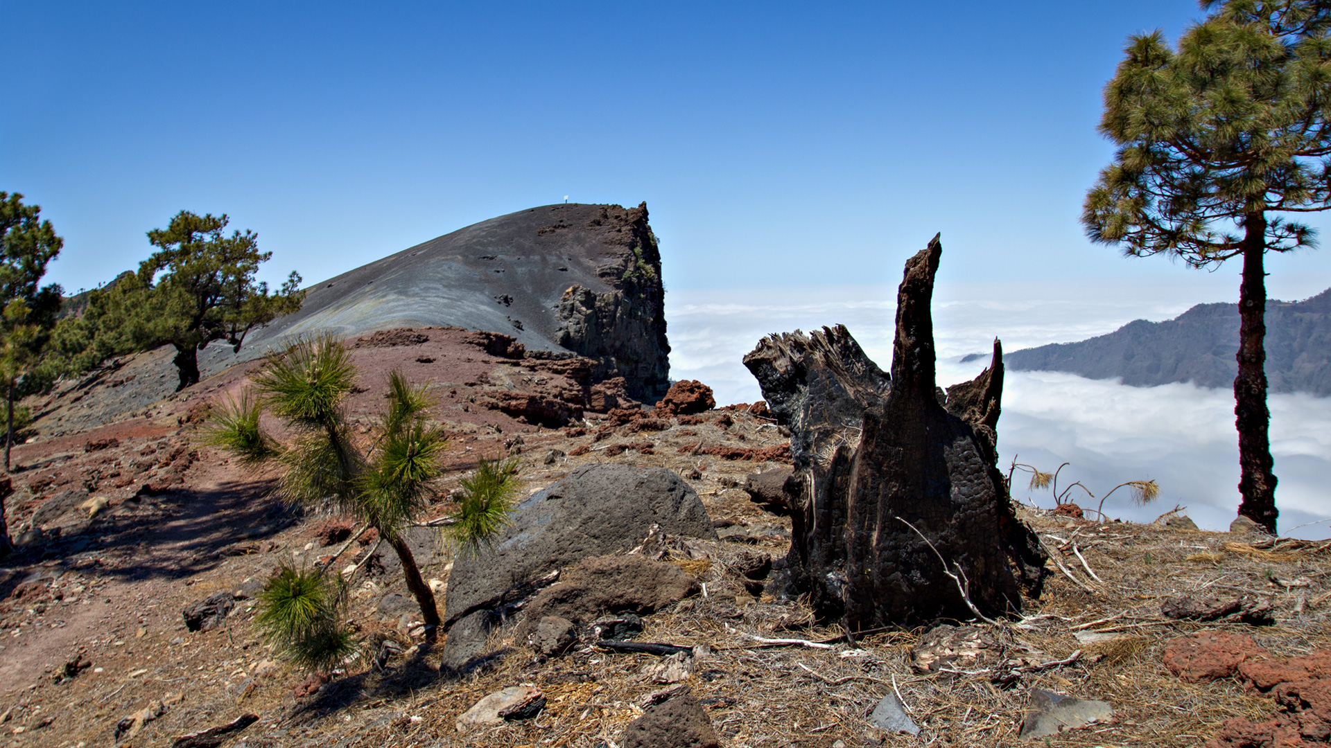 Wanderung Pista Pico de la Nieve – Ermita de la Virgen