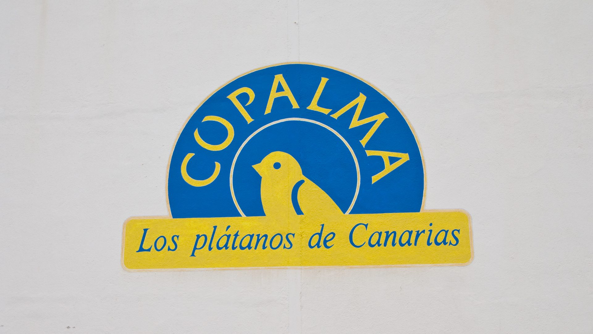Cupalma ist das Herzstück der Bananenwirtschaft La Palmas