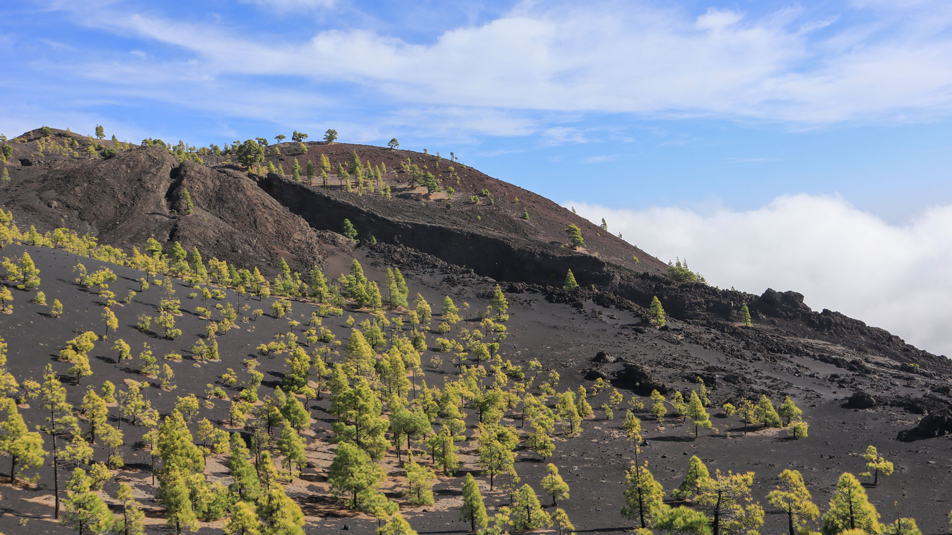 Lavatunnel und Erosionsrinnen an der Ostflanke des Volcán Martín