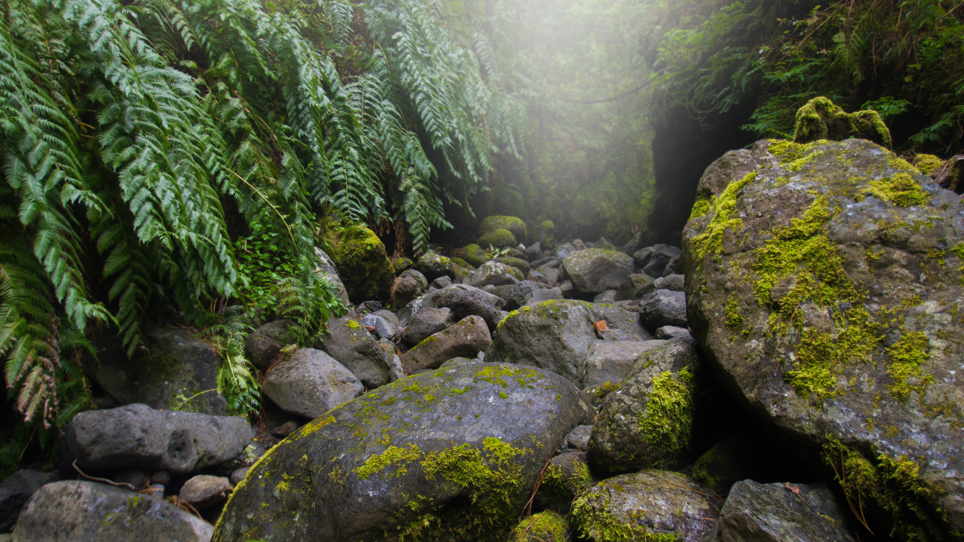 Passage durch großflächige Felsblöcke im Barranco del Agua