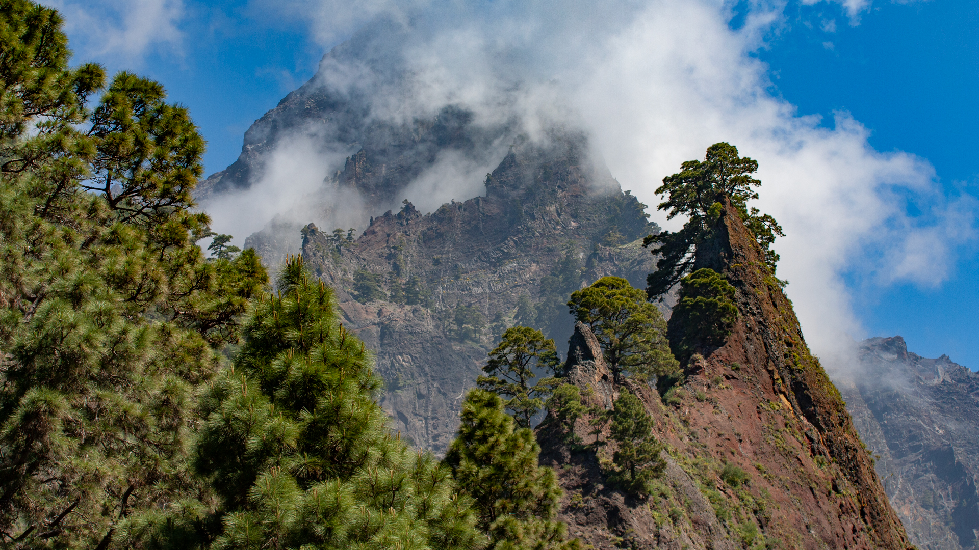 Roque Huso – Felskegel mit zwei Kiefern, Caldera de Taburiente.
