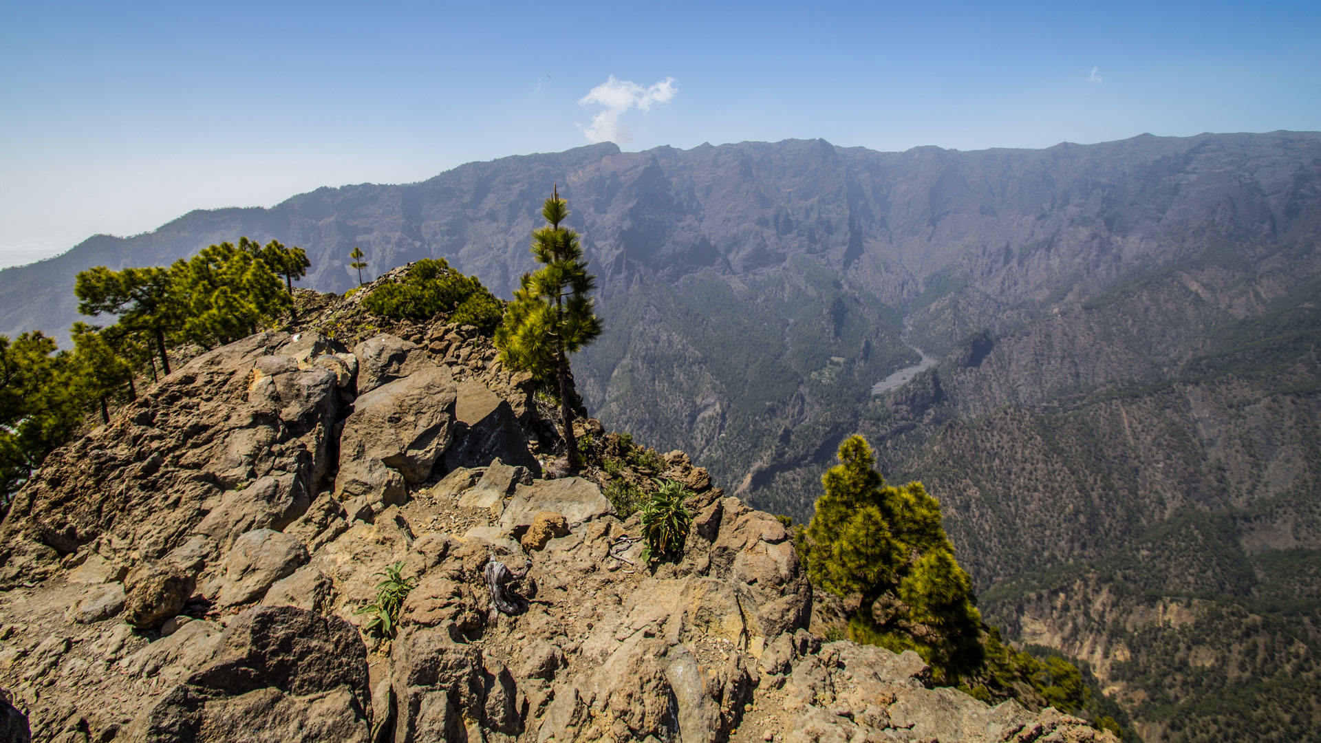Gipfelpanorama Pico Bejenado – Caldera, Westküste, Cumbre-Kamm, 1.854 m
