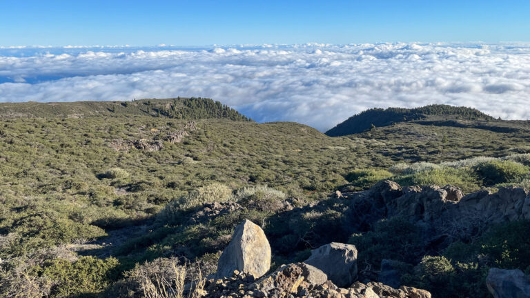 Blick vom Pico de la Cruz (2.351 m) über die Hochgebirgsvegetation des Caldera-Kamms auf das Wolkenmeer der Ostküste