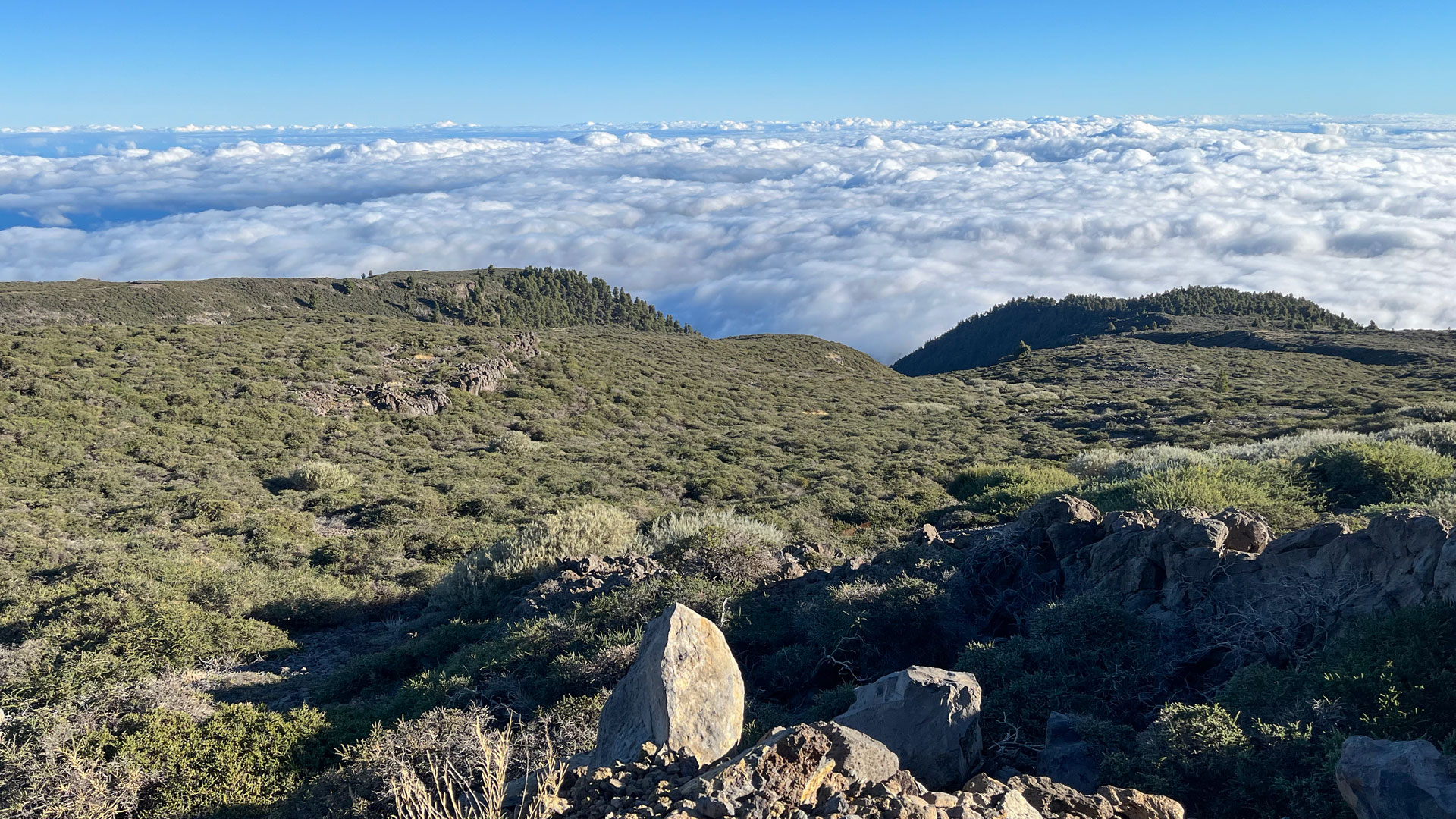 Blick vom Pico de la Cruz (2.351 m) über die Hochgebirgsvegetation des Caldera-Kamms auf das Wolkenmeer der Ostküste
