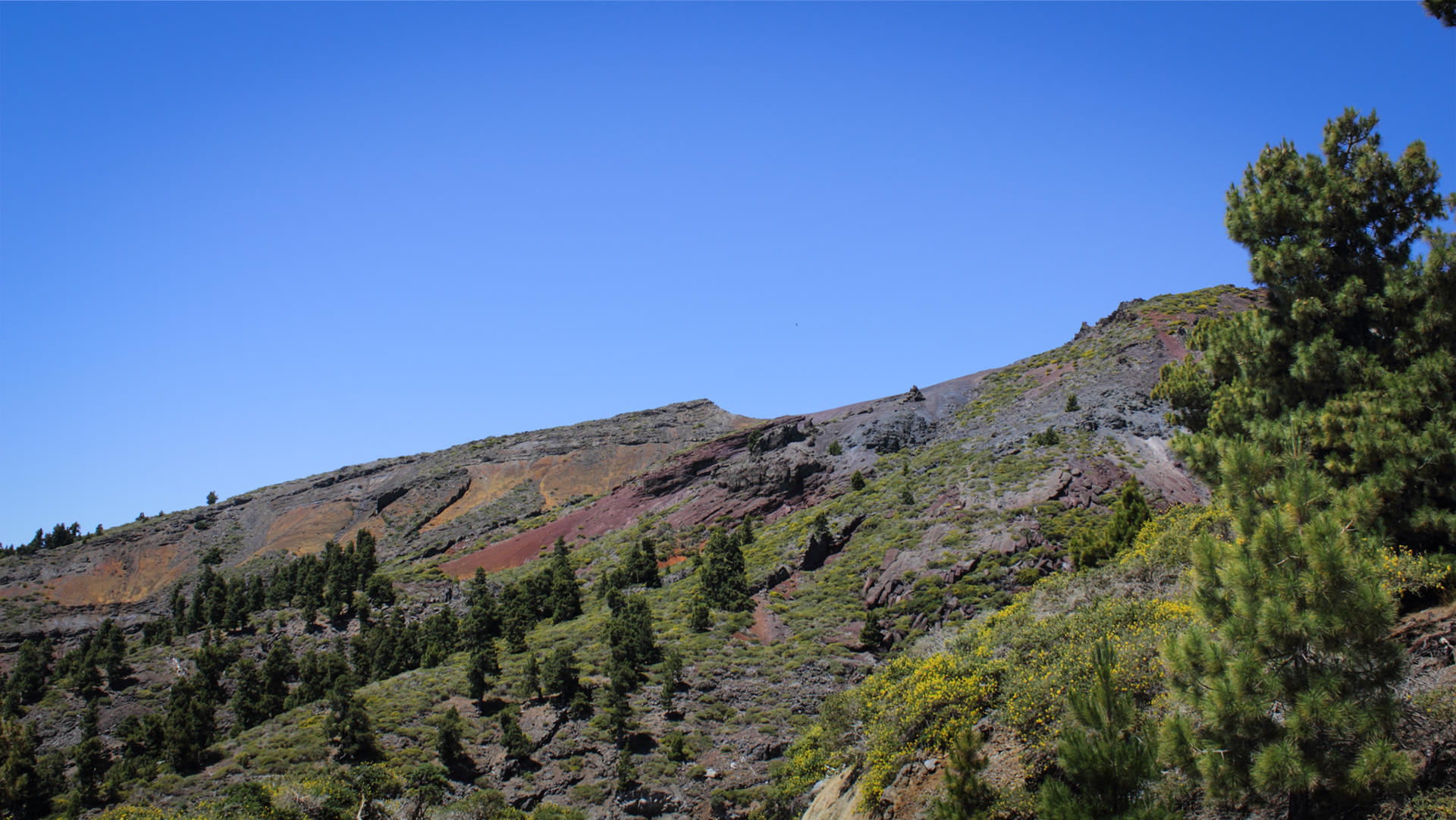 Bunte Gesteinsschichtungen an der Bergflanke des Pico de la Nieve, von der Höhenstraße La Palmas.