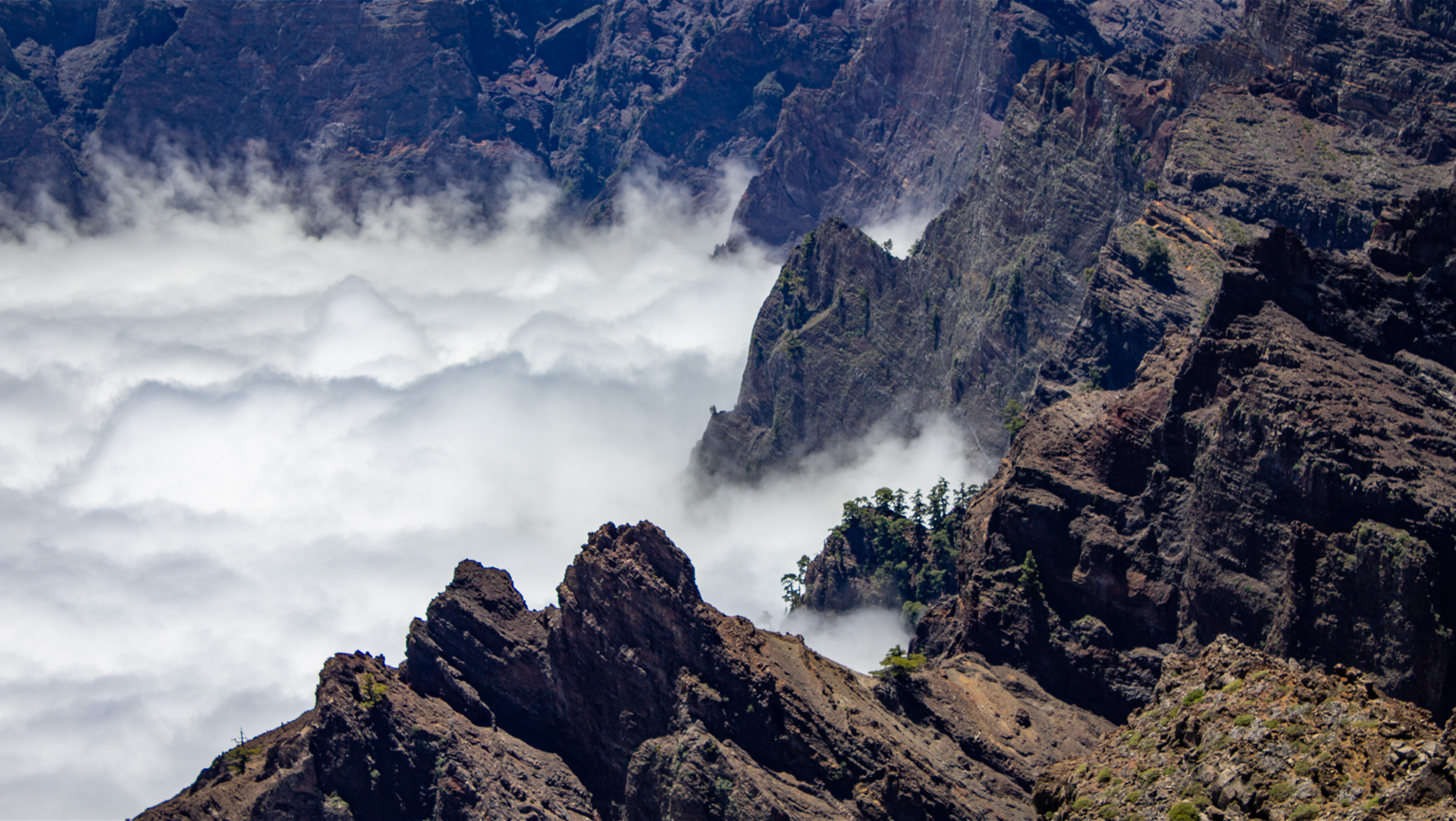 La Palma: Fünf verschiedene Klimazonen, vom trockenen Tiefland bis zum kargen Hochgebirge.
