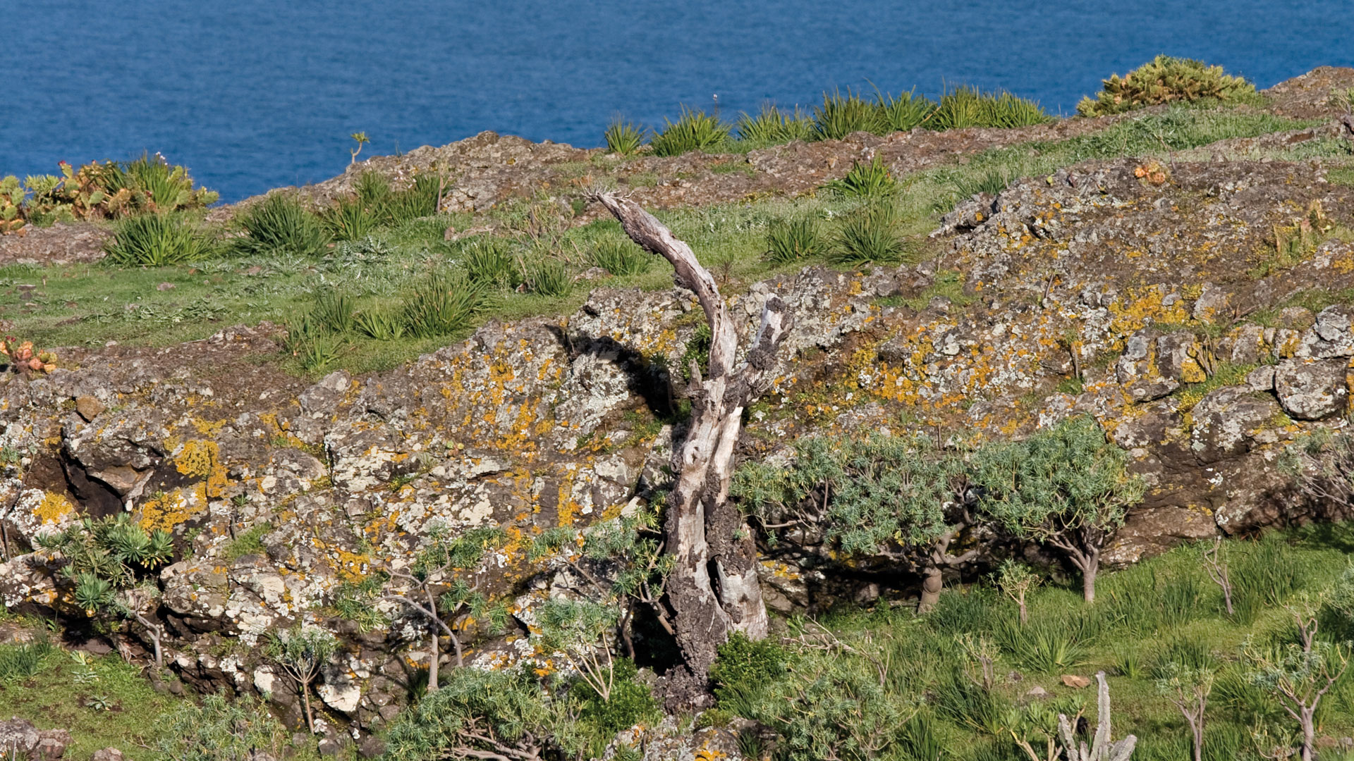 Nordküste vor dem Atlantik.