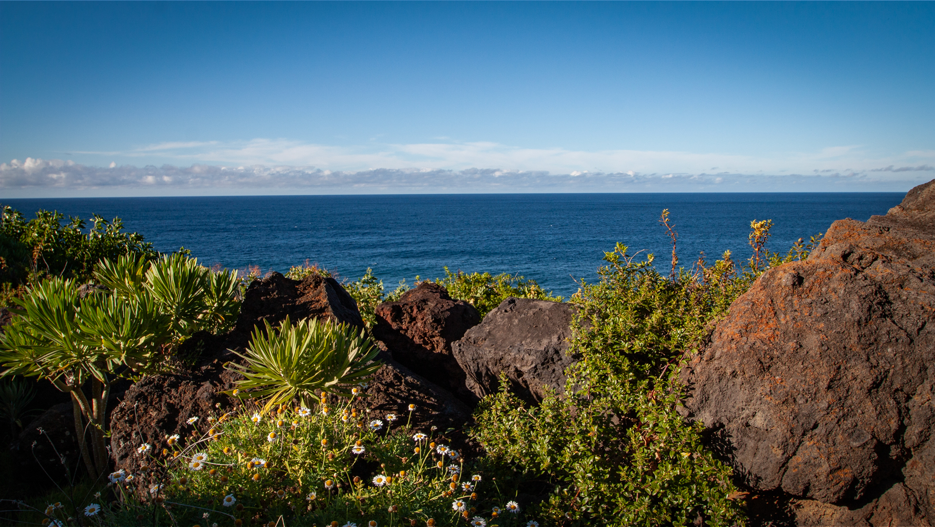 Küste und Tiefland bilden die trockenste und heißeste Zone La Palmas